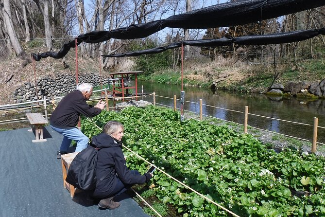 Nagano All Must-Sees Full Day Private Tour With Government-Licensed Guide - Authentic Reviews