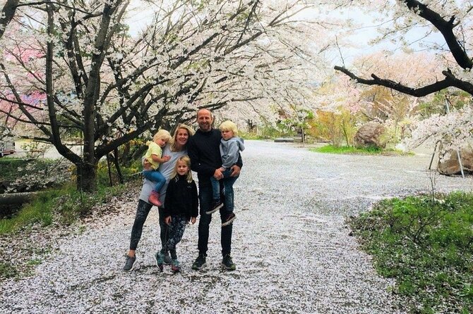 (Spring Only) 1-Day Snow Monkeys & Cherry Blossoms in Nagano Tour - The Sum Up