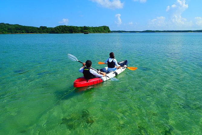 [Ishigaki] Kabira Bay SUP/Canoe Tour - Discovering the Marine Life of Kabira Bay