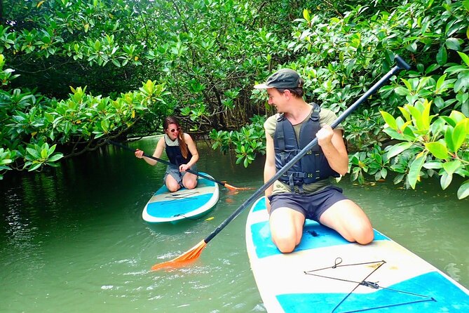 [Ishigaki] Mangrove SUP/Canoe Phantom Island Snorkeling - Pickup and Drop-off Details