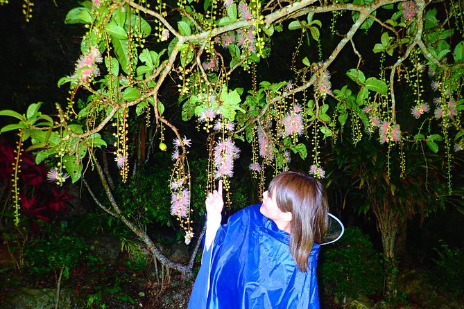 ［Ishigaki, Okinawa］Limited-Time "Sagari-Bana" Viewing Tour - Tour Highlights