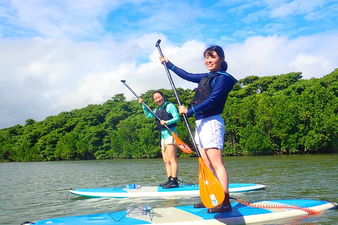 Miyara River 90-Minute Small-Group SUP or Canoe Tour  - Ishigaki - Tour Itinerary