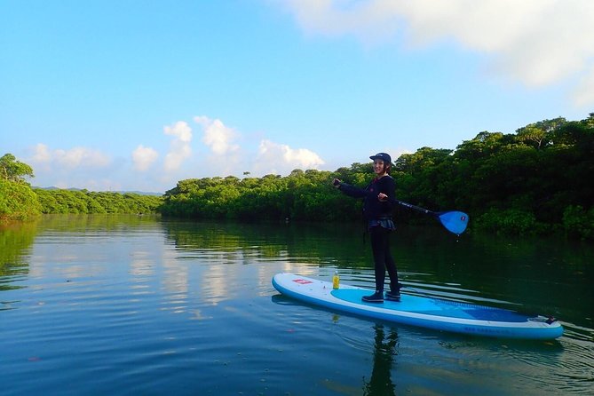 Miyara River 90-Minute Small-Group SUP or Canoe Tour  - Ishigaki - Contact Information