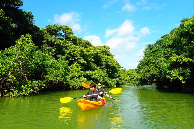 Miyara River 90-Minute Small-Group SUP or Canoe Tour  - Ishigaki - The Sum Up