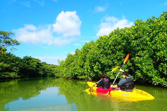 Miyara River 90-Minute Small-Group SUP or Canoe Tour  - Ishigaki - Expert Guide