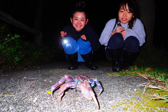 [Ishigaki] Night Jungle Tour - Wildlife Encounters in the Darkness