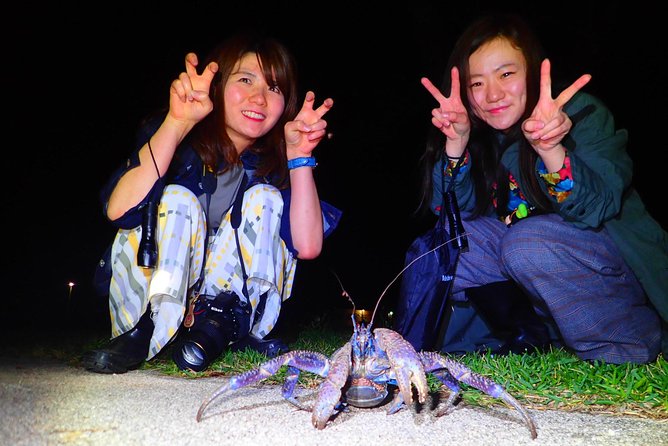 [Ishigaki] Night Jungle Tour - Unforgettable Nighttime Safari in Ishigakis Untamed Wilderness