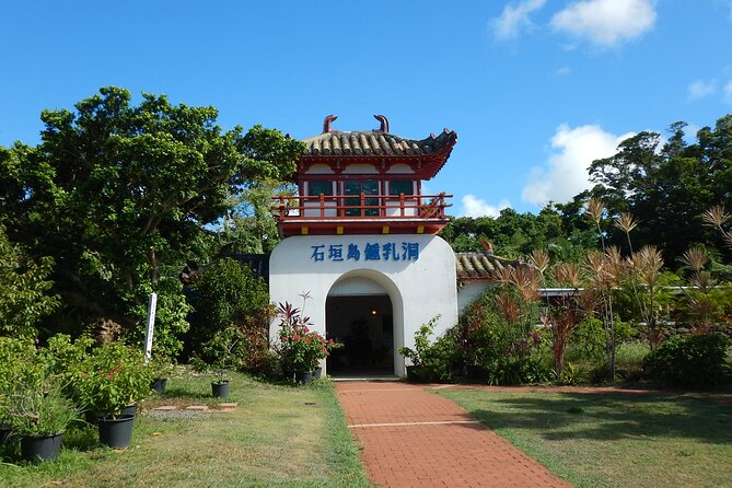 A Beautiful Cave Created From a Coral Reef! - Tour Details and Accessibility