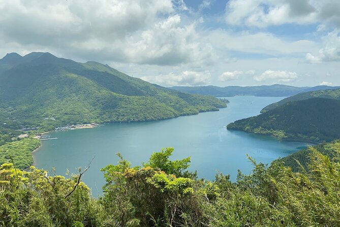 Hakone Old Tokaido Road and Volcano Full-Day Hiking Tour - Meeting and Pickup Information