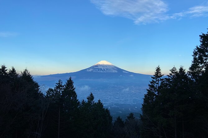Hakone Old Tokaido Road and Volcano Half-Day Hiking Tour - Snacks and Water Provided