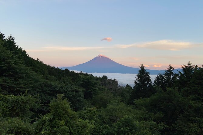 Hakone Old Tokaido Road and Volcano Half-Day Hiking Tour - Additional Information and Contact