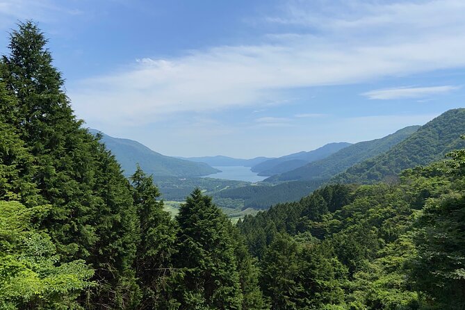 Hakone Old Tokaido Road and Volcano Half-Day Hiking Tour - Special Dietary Accommodations