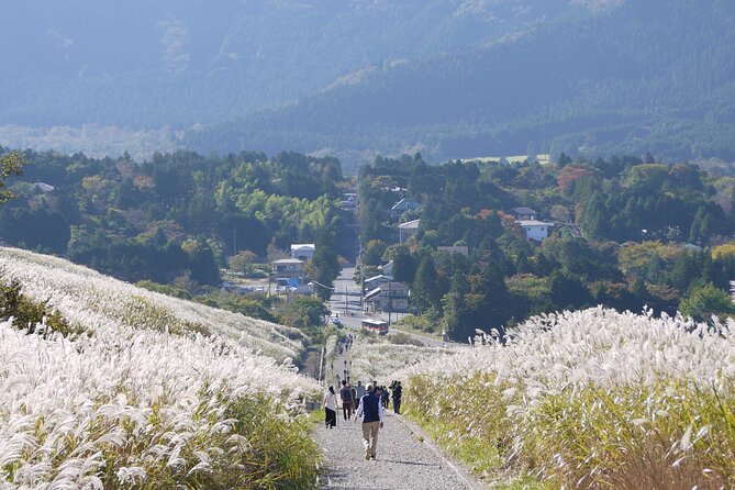 Easygoing Nature Walk in Hakone Tour - Overview and Whats Included