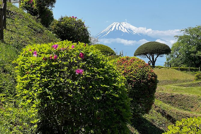 Hike Japan Heritage Hakone Hachiri With Certified Mountain Guide - Booking and Pricing Details
