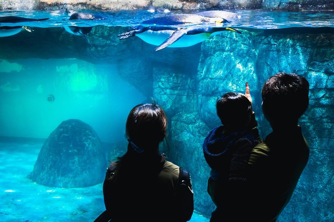 Private Yokoyama Family Tours With Local Guides, 100% Personalized - Customizing Your Yokoyama Family Tour