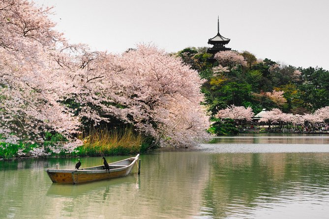 Private Yokoyama Family Tours With Local Guides, 100% Personalized - Exploring Yokohamas Hidden Gems