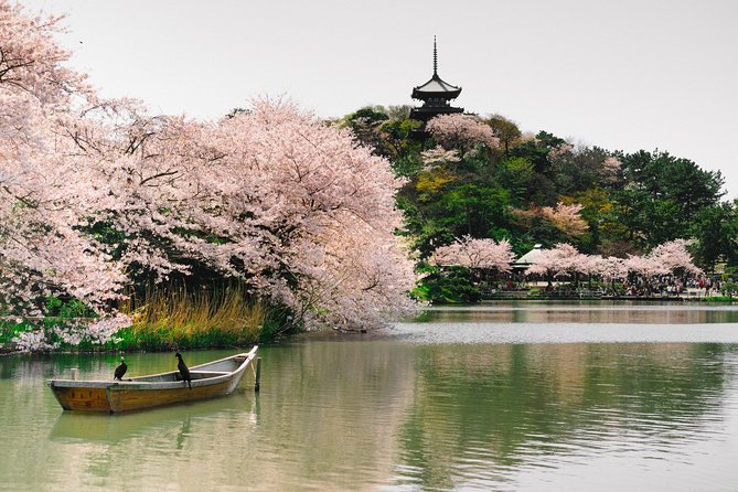 Yokohama Half Day Tour With a Local: 100% Personalized & Private - Customer Reviews