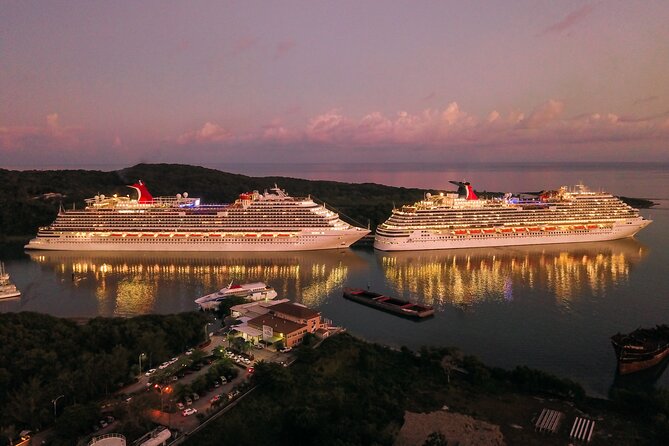 Private Transfer From Yokohama Cruise Port to Narita Airport NRT - All Fees and Taxes Included