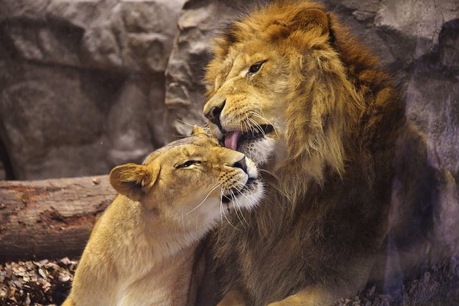 Yokohama Zoo Zoorasia Admission Ticket - Admission Prices and Ticket Options