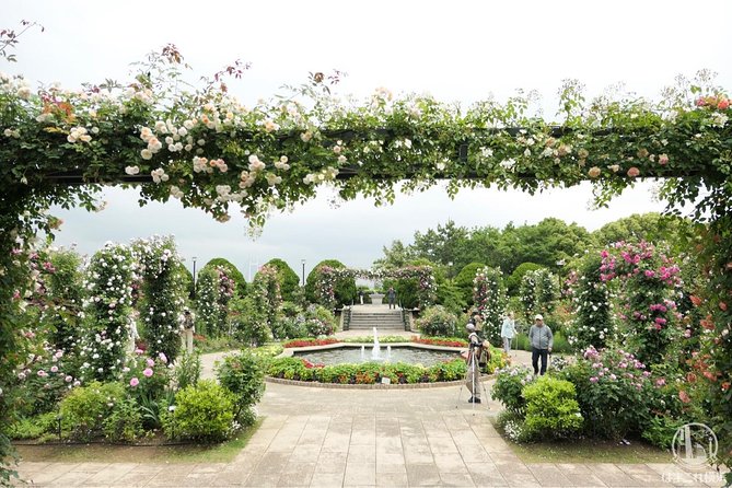 Yokohama / Kamakura Full-Day Private Trip Government-Licensed Guide - Frequently Asked Questions