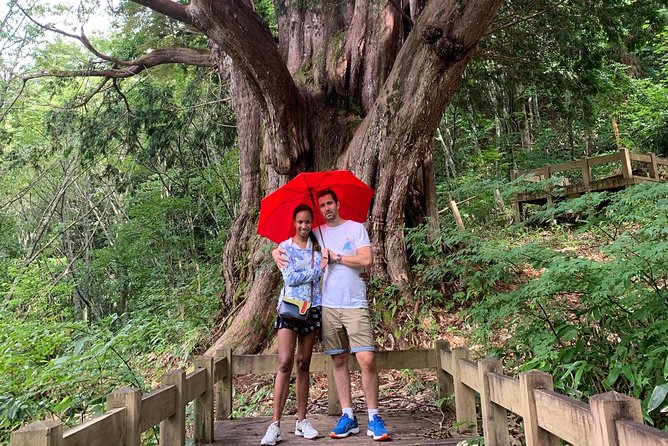 Hiking Ropeway (Special Mountain View!) - Contacting Viator for Assistance