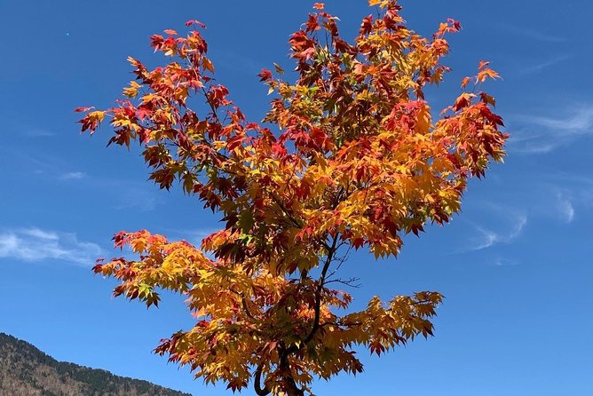 Hiking Ropeway (Special Mountain View!) - Pricing and Legal Information