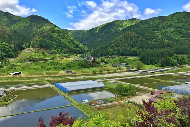1-Day Rural E-Bike Tour In Hida - The Sum Up