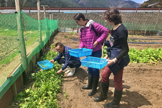 Hida Private E Bike Tour With Premium Lunch And Farm Experience Hida Private E-Bike Tour With Premium Lunch and Farm Experience - E-Bike Rental and Safety Briefing