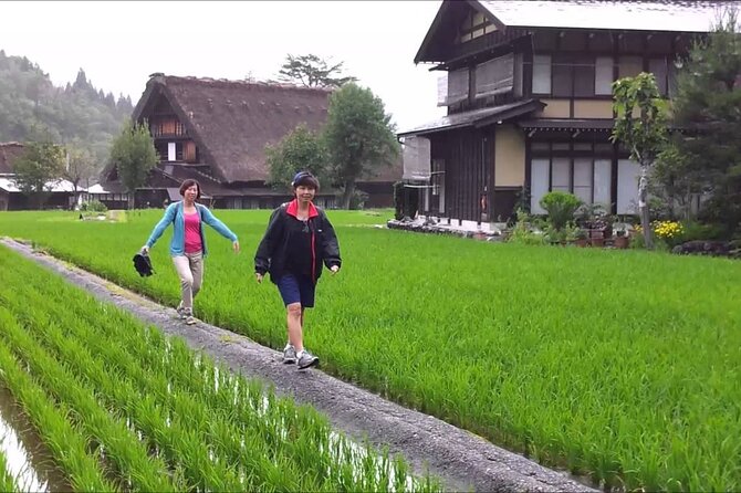 Shirakawago Day Trip: Government Licensed Guide & Vehicle From Takayama - Pricing and Reservation