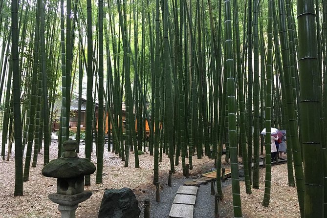 Exciting Kamakura - One Day Tour From Tokyo - Review Highlights