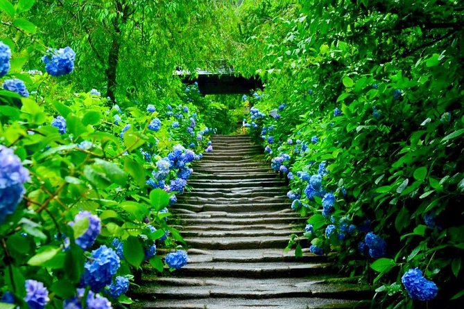 Kamakura Private Custom Tour - Frequently Asked Questions