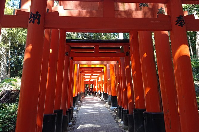 Kyoto Lazy Bird Tour Kyoto Lazy Bird Tour - Overview and Itinerary