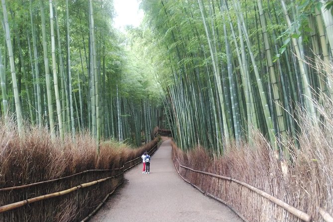 Kyoto Lazy Bird Tour Kyoto Lazy Bird Tour - Arashiyama Bamboo Grove