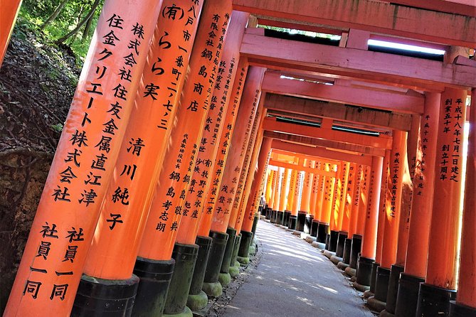 Kyoto Late Bird Tour - Reviews and Ratings