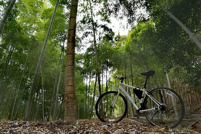 Arashiyama Bamboo Bike Tour (Early Bird) - The Sum Up