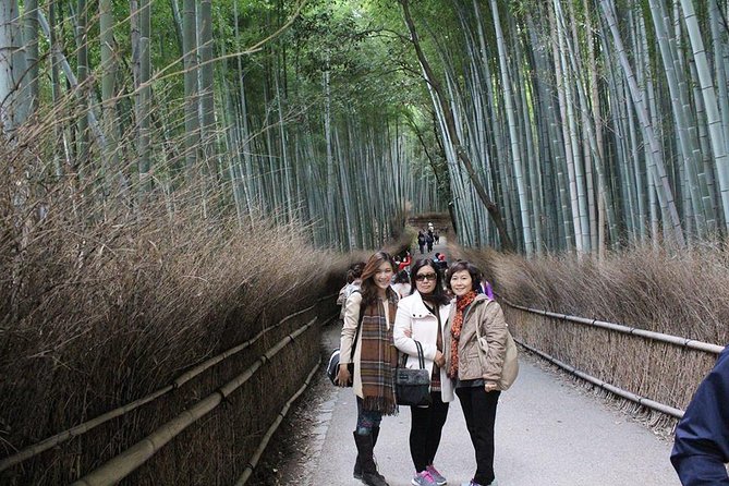KYOTO Custom Tour With Private Car and Driver (Max 9 Pax) - Enjoy a Stress-Free Tour of Kyoto With a Private Vehicle