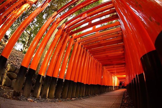 Private Kyoto Custom One Day Tour by Chartered Vehicle - Inclusions