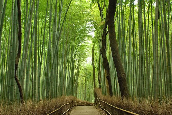 Private Kyoto Arashiyama Custom Half-Day Tour by Chartered Vehicle - Tour Overview and Highlights