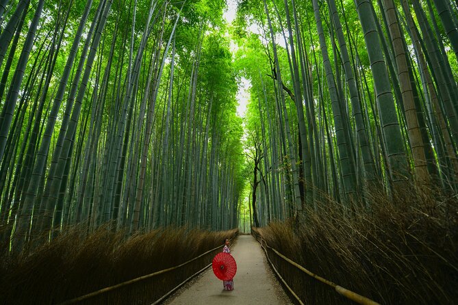 Kyoto Explore Arashiyama Walking Tour - Spectacular Day in Kyoto With Remi
