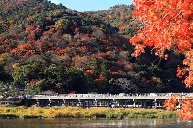 Kyoto Sagano Bamboo Grove & Arashiyama Walking Tour - Cancellation Policy and Logistics