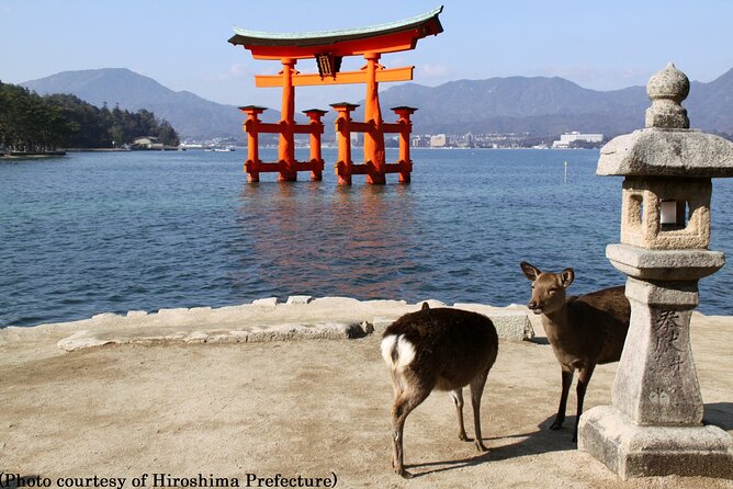 Hiroshima Peace Memorial Park And Miyajima Island From Kyoto Hiroshima Peace Memorial Park Experience