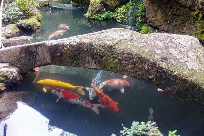 2 Hours Tour in Historic Gion: Geisha Spotting Area Tour - Meeting and Pickup