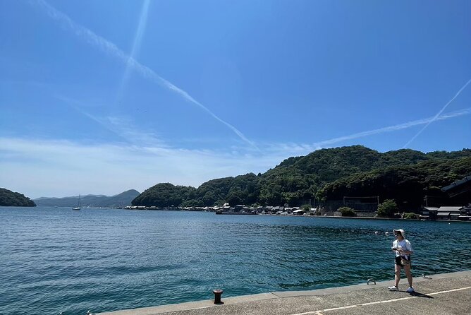 Explore the Maritime Splendors of Kyoto: A Comprehensive Sea Tour - Unforgettable Island Hopping Experience