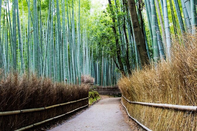 Arashiyama Bamboo Grove Day Trip From Kyoto With a Local: Private & Personalized - Taking in the Serenity of Arashiyama