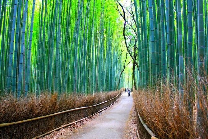 Private Walking Tour in Bamboo Forest & Hidden Spots in Arashiyama - Unveiling the Tranquil Beauty of Arashiyamas Nature