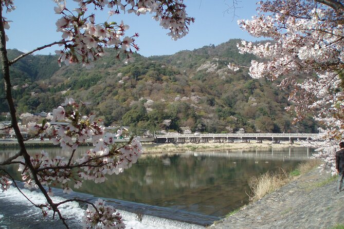 Private Walking Tour in Bamboo Forest & Hidden Spots in Arashiyama - Discovering the Hidden Gems of Arashiyama
