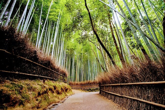 Arashiyama Walking Tour Bamboo Forest Monkey Park Amp Secrets Arashiyama Walking Tour - Bamboo Forest, Monkey Park & Secrets - Hidden Gems of Arashiyama: Unforgettable Experiences