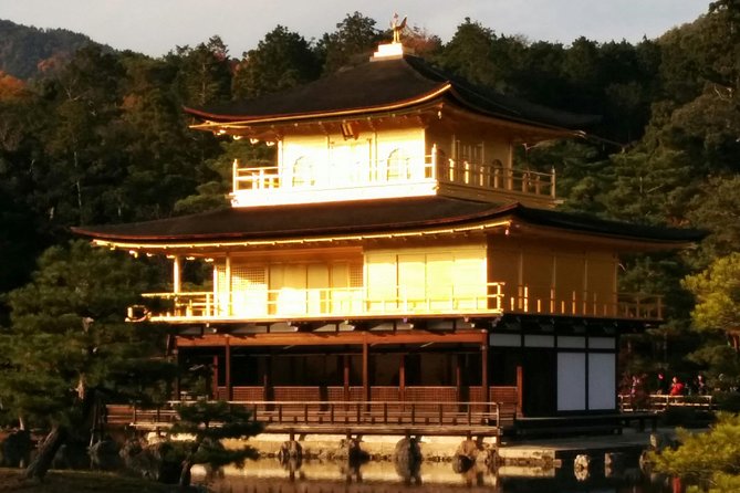 Private Highlights of Kyoto Tour - Itinerary Options