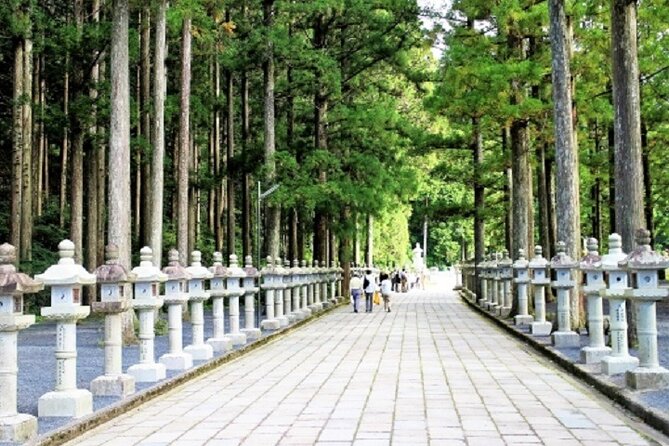 Mt Koya 2-Day Private Walking Tour From Kyoto - Itinerary Overview