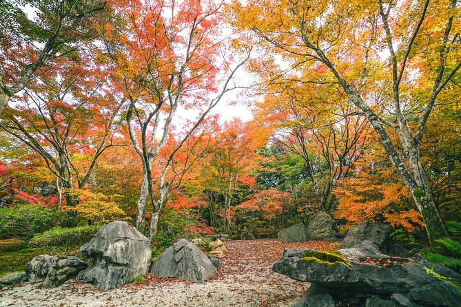 Small-Group Walking Tour With Kyoto-Style Lunch, Arashiyama - Uncovering the Rich History of Arashiyama